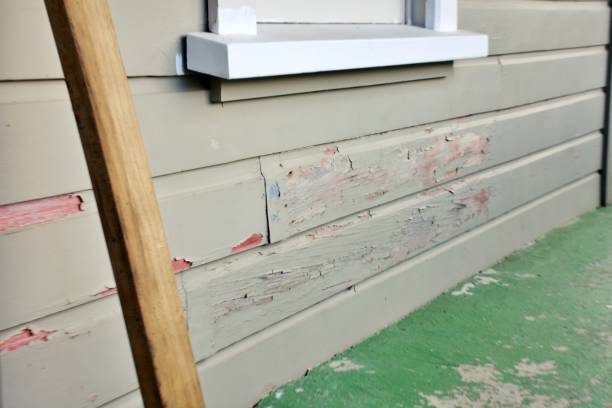 Custom Trim and Detailing for Siding in Gonzales, CA